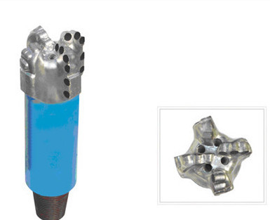 OEM ODM PDC het Beetje van de Olieboor, 500mm Boorbeetjes voor Olie en Gasindustrie